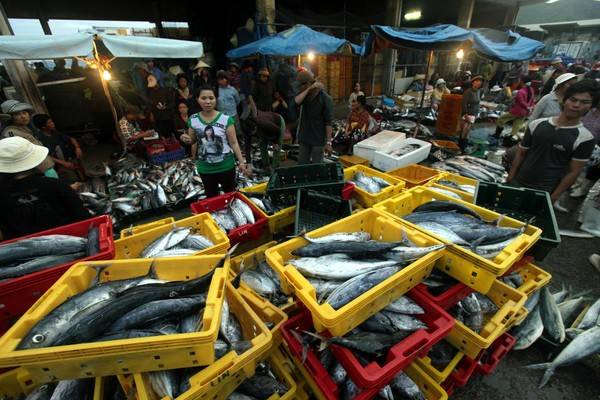 Du lịch Bình Định - Sáng sớm trên chợ cá Hàm Tử