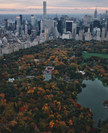 Công viên Trung tâm, New York, Mỹ.