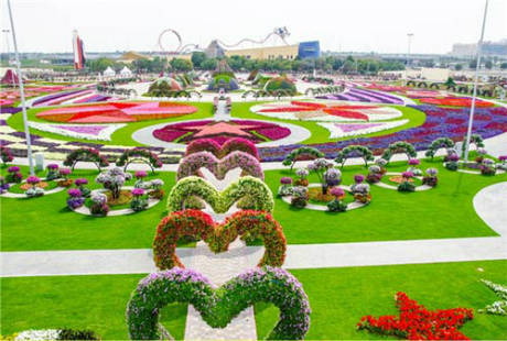 Vườn hoa tự nhiên lớn nhất thế giới Dubai Miracle