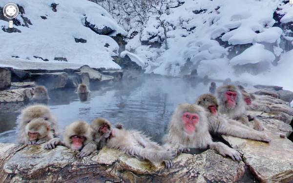  Công viên khỉ Jigokudani là một khu vực suối nước nóng nổi tiếng gần Nagano.
