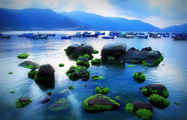 Đảo Bình Hưng hoang sơ có sức hút khó cưỡng đối với các bạn trẻ yêu thích du lịch bụi. Ảnh: vietnamresorts.vn