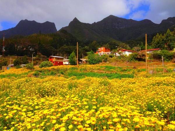 San Juan Bautista, ngôi làng duy nhất trên đảo Robinson Crusoe - Ảnh: leeabbamonte