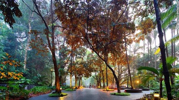 Vườn thực vật Singapore là điểm tham quan đầu tiên ở Singapore được UNESCO công nhận là Di sản thế giới, và là khu vườn đầu tiên ở châu Á nhận được danh hiệu này.