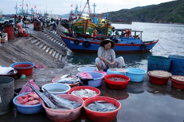 Du lịch Bình Định - Thành quả của các ngư dân sau một đêm đánh bắt ngoài khơi