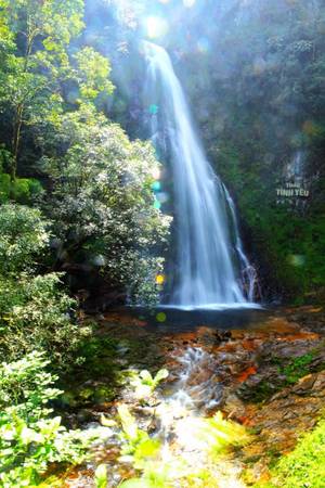 Thác Tình yêu là ngọn thác nổi tiếng nằm tại xã San Sả Hồ, cách trung tâm thị trấn Sa Pa 14 km về phía tây nam. Nơi đây là một trong những điểm bắt đầu hành trình chinh phục đỉnh Fanxipan.
