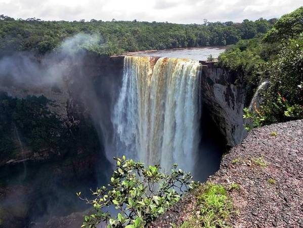 Vượt qua biên giới Brazil là du khách đã lọt vào những khu rừng nhiệt đới của Guyana