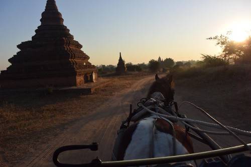  Xe ngựa là phương tiện phổ biến ở Bagan. Ảnh: Thepointsoflife.
