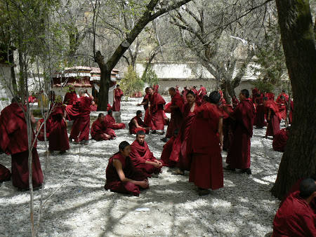 Một buổi tranh luận thú vị giữa các tu sĩ về chủ đề Phật giáo. 