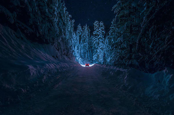 Con đường đi xuyên qua rừng cây phủ đầy tuyết trắng ở dãy núi Rila, Bulgari.