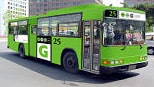 bus_green seoul