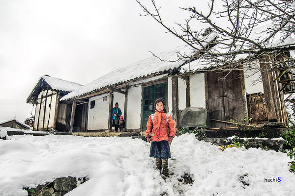 Ngắm tuyết:  Bởi tuyết là một khái niệm quá đỗi… xa vời ở Việt Nam, thế nên, ai đến Sapa mùa đông cũng mang trong mình một… giấc mơ tuyết trắng. Ai cũng muốn được một lần ngắm tuyết mà chẳng phải đi Pháp, đi Anh. Ai cũng muốn được vo tròn từng cục tuyết trong tay rồi ném nhau như lũ trẻ nước ngoài. Ai cũng mong được nhìn những hạt tuyết rơi đậu trên lá cây, trên mái nhà, tựa như trong một bộ phim Hàn Quốc được quay vào mùa đông. Một mong mỏi rất đỗi trong sáng, hồn nhiên và… hoàn toàn có thể được thỏa mãn khi đến thăm Sapa vào những ngày lạnh nhất.