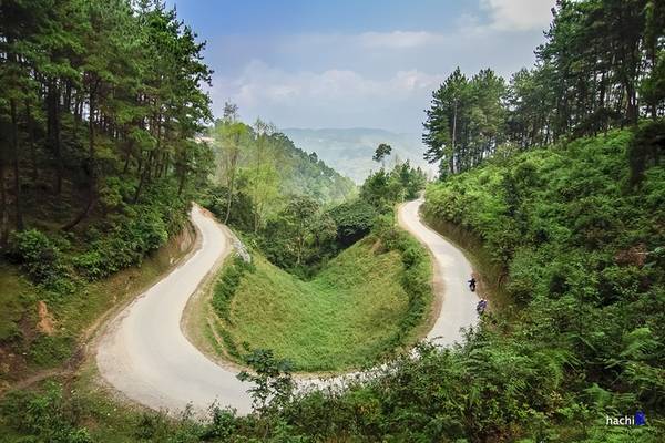 Rừng thông Yên Minh là địa danh tiếp theo, cách thành phố Hà Giang chừng 100 km. Nơi đây với bạt ngàn thông thẳng tắp, từ ven đường tới phủ kín đồi núi sẽ là địa điểm chụp ảnh lý tưởng.