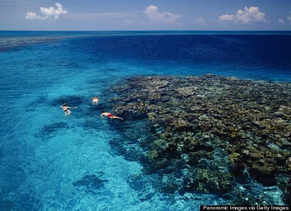Đảo Ambergris Caye, Belize