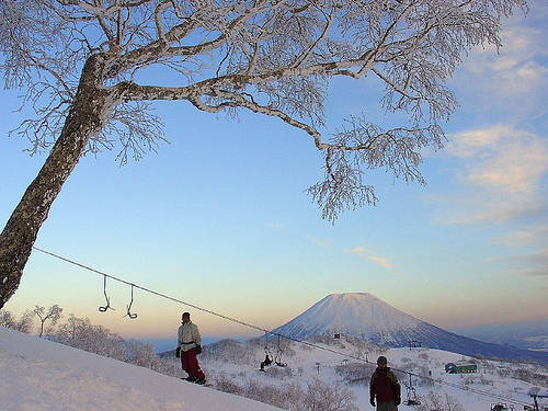 Trượt tuyết ở Hokkaido. 