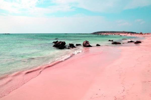Bãi biển cát hồng ở Bahamas luôn là niềm mơ ước được chạm chân đến của dân du lịch. Ảnh: WordPress