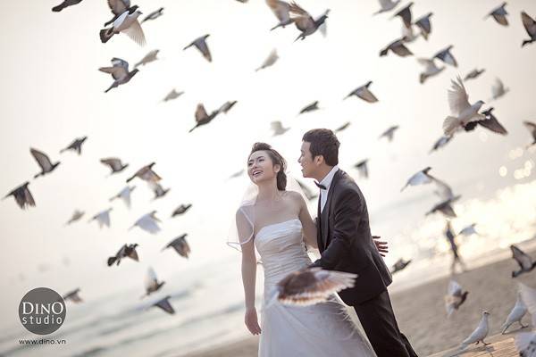 Chụp ảnh cưới với bồ câu mang đến ấn tượng độc đáo. 