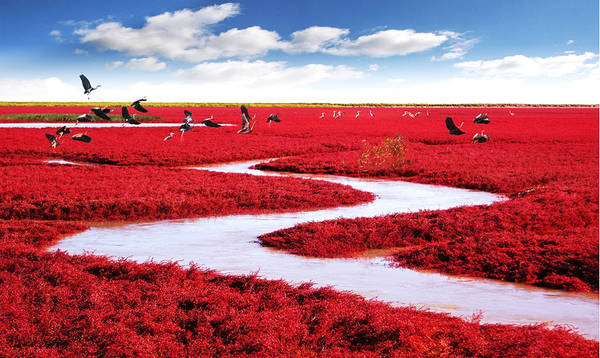  Biển Đỏ nằm ở vùng đồng bằng châu thổ sông Liaohe, khoảng 30 km về phía tây nam thành phố Panjin, Trung Quốc. Sở dĩ nó có tên gọi như vậy là bởi vẻ bề ngoài của nó, bị gây nên bởi một loại cỏ biển phát triển trong đất mặn kiềm. 