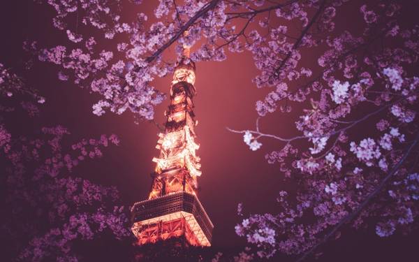 Tháp Tokyo được lấy cảm hứng từ thiết kế của tháp Eiffel.