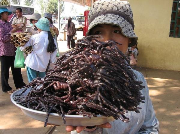 Món nhện chiên giòn một "đặc sản" của Campuchia.