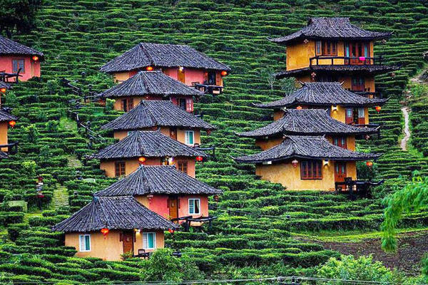 Những ngôi nhà nhỏ nhắn, xinh đẹp nằm ngay trên những đồi chè là nơi sinh sống của các gia đình người Hoa lưu vong từ nhiều thế hệ nay ở Ban Rak Thai. Ảnh: Legalnomads