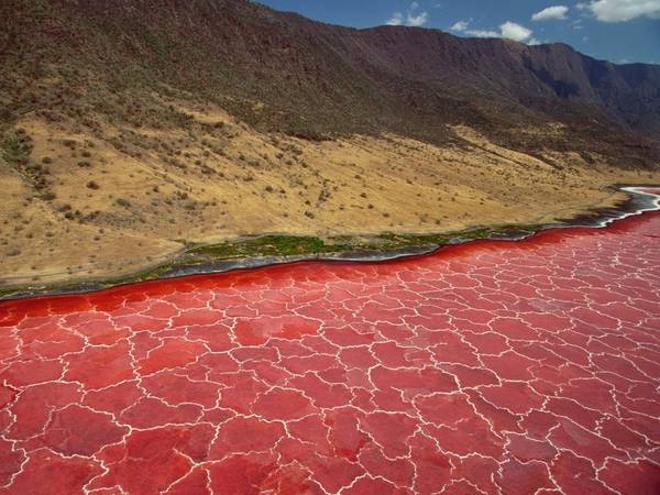 Hồ Natron, Monduli, Tanzania: Hồ muối đặc biệt này có nhiệt độ 120 độ C, và độ PH thấp ở mức nguy hiểm. Chính sự xuất hiện của vô số các loài tảo đỏ đã hấp dẫn hàng triệu con hồng hạc đến đây sinh sản.