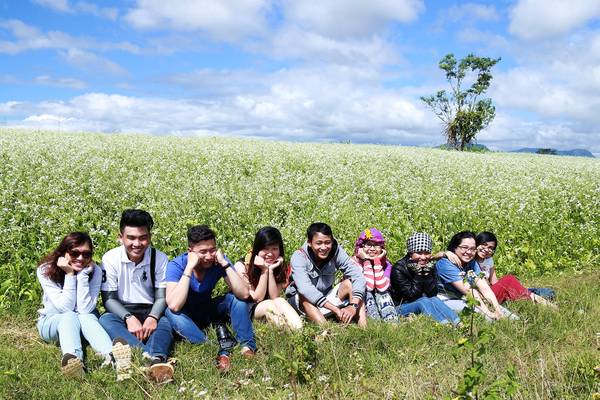 Các bạn trẻ háo hức chụp ảnh trên cánh đồng hoa cải.