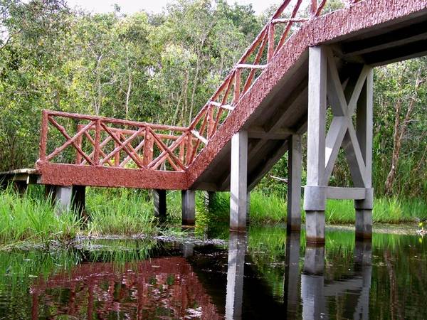 Những chiếc cầu bắc qua con kênh được xây dựng thật chắc chắn và có tính thẩm mỹ.