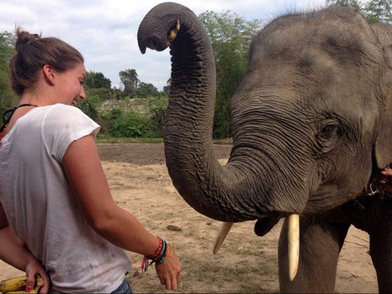 Anh và một người bạn đến tham quan khu bảo tồn voi, nơi mà mọi người giúp cưu mang và nuôi dưỡng chúng để có cuộc sống tốt hơn. Budnick nói du khách không được phép cưỡi voi, vì nó gây áp lực cho chúng.