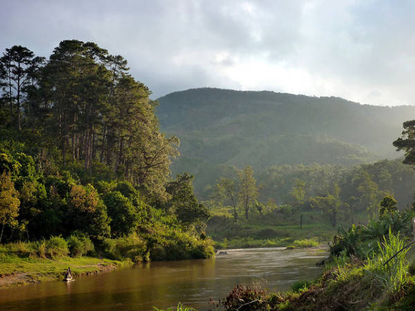 Vườn quốc gia Ranomafana.