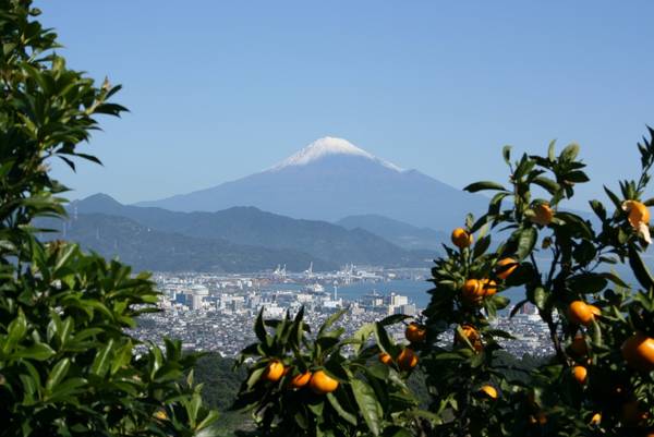 Thành phố Shizuoka là điểm đến sở hữu vẻ đẹp đa dạng. Ảnh: shizuokatourism.com