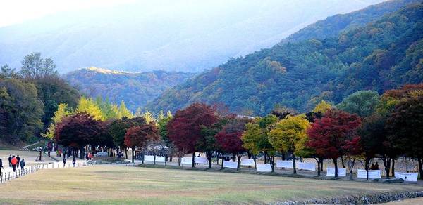 Khung cảnh quen thuộc của đất trời Hàn Quốc những ngày cuối tháng 10.