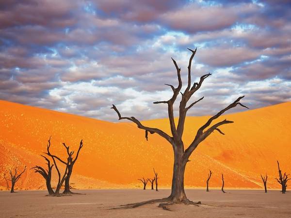 Công viên Namib Naukluft, Namibia: Những trảng cát đỏ rực và cây khô khẳng khiu khiến Namibia có cảnh tượng như trên sao Hỏa.