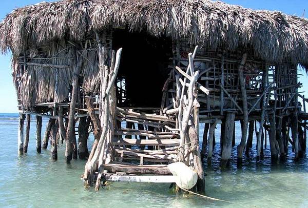 1. Pelican Bar nằm trên bờ biển phía Tây Nam của quốc đảo Jamaica. Nó là một quán bar nhỏ như một cái chòi làm bằng gỗ lũa vững chãi giữa biển.