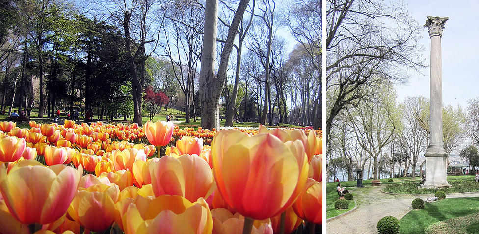 Không cần phải đến tận… Hà Lan, tại Istanbul bạn cũng có thể chiêm ngưỡng vẻ đẹp của loài hoa tulip đầy màu sắc tại Gulhane Park. 