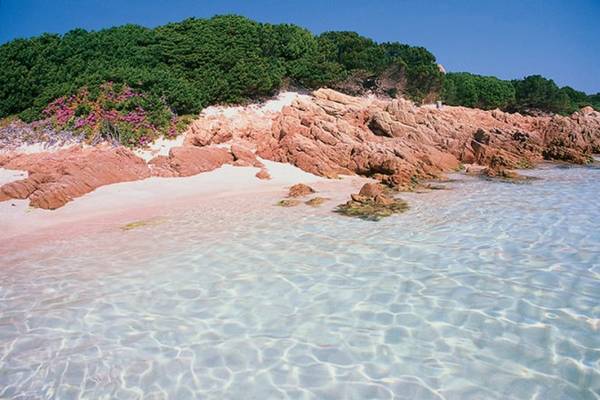 Màu xanh của lá, màu đỏ của đá, màu hồng của cát hòa quyện cùng làn nước trong veo ở Spiaggia Rosa. Ảnh: WordPress. 