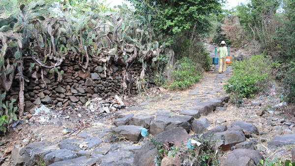 Du lịch Phú Yên - Nhiều đường bêtông mở ra thuận tiện nên những con đường đá khắp làng Phú Hạnh đang dần xuống cấp vì ít người đi