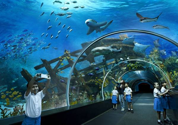 “Bể cá khổng lồ” với tấm kính lớn nhất thế giới, rộng 36 mét và cao 8,3 mét. 
