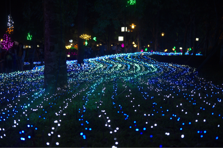 “Con đường của biển” được tạo thành từ hàng nghìn bóng đèn xanh và trắng