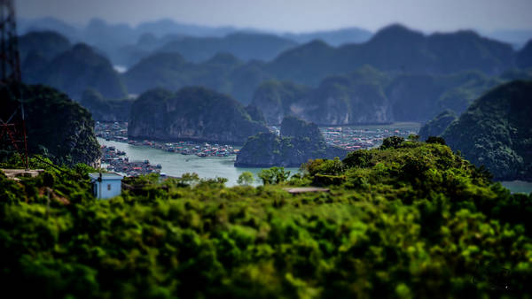 Vịnh Lan Hạ tuyệt đẹp nhìn từ trên cao. Ảnh: taducanh/flickr.com