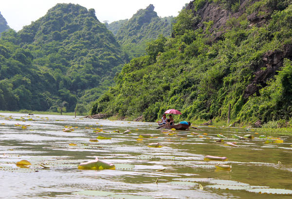 Du lịch Hà Nội - Hồ Quan Sơn với mênh mông nước còn có đầm sen rất đẹp. 