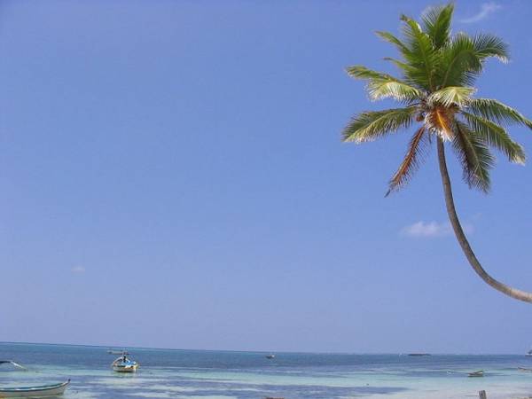 11. Ấn Độ có rất nhiều bãi biển tuyệt đẹp và một trong số đó phải kể đến những bãi biển ở Kavaratti, Lakshadweep. Ảnh: Thejas