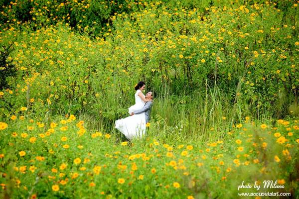 Chụp ảnh cưới giữa sắc vàng hoa dã quỳ cũng là một ý tưởng tuyệt vời. 