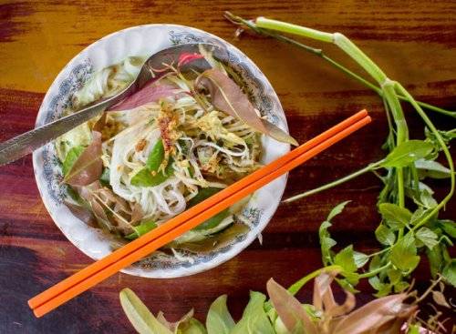 Món num banh chok, một gợi ý trong tour ẩm thực Siem Reap. 