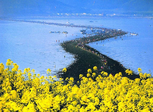 Con đường vượt biển nổi tiếng ở Hàn Quốc.