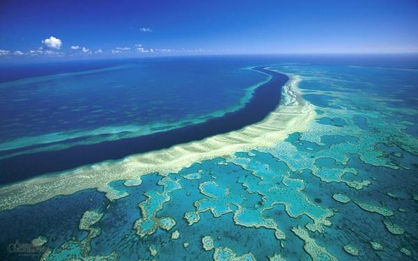 Nằm ngoài khơi Queenland, phía Đông Bắc Australia, hệ sinh thái dài 2.300 km của Great Barrier có vô số rạn đá ngầm, hàng trăm hòn đảo với hơn 600 loại san hô và hàng nghìn động vật biển. Ảnh: Australiangeographic.