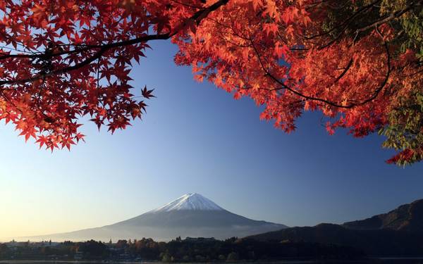 Vẻ đẹp hùng vĩ của núi Phú Sĩ vào mùa thu. Ảnh: giangle.org