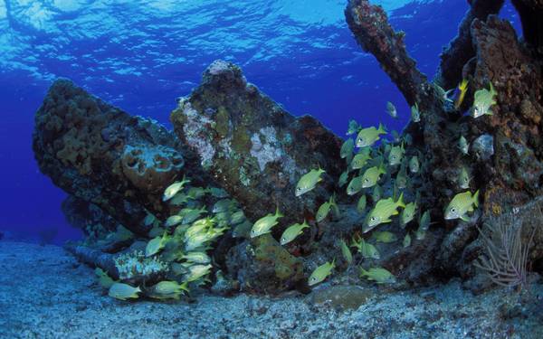 Tam giác quỷ Bermuada là vùng biển nằm ở phía Tây Đại Tây Dương.