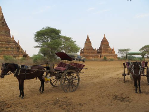 Một chiếc xe ngựa ở Bagan chở tối đa 3 du khách đi tham quan các đền chùa từ bình minh đến hoàng hôn.