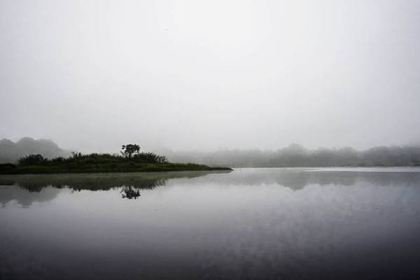Buổi sáng mờ sương nhìn ra Cồn Dầu (có tên gọi này do hai cây dầu mọc trội lên trên khỏi hòn đảo nhỏ). Sương mù mờ mịt cho chúng tôi cảm giác như đang ở một chốn bồng lai tĩnh lặng.