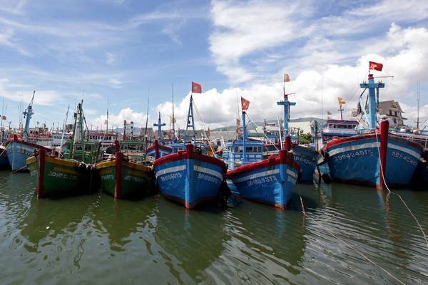 Du lịch Bình Định - Đoàn thuyền đánh cá của Quy Nhơn trong những ngày ngơi nghỉ